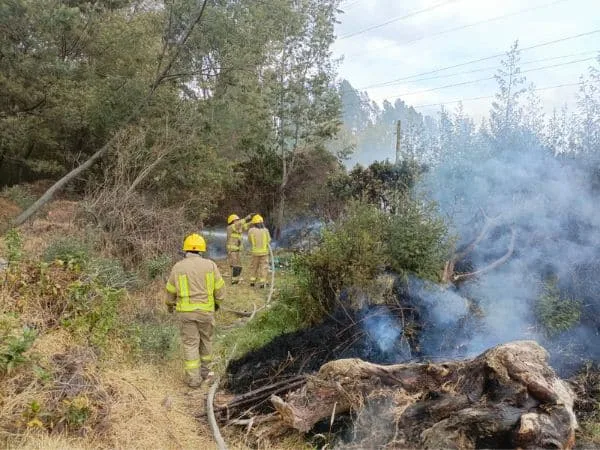 incendios forestales