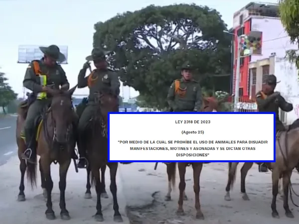 Ley 2318: Prohibido el uso de animales en protestas, manifestaciones entre otros