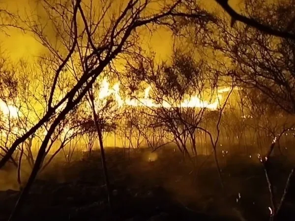 Bomberos controlan incendio forestal en el Corregimiento de Higueroncito, Roldanillo