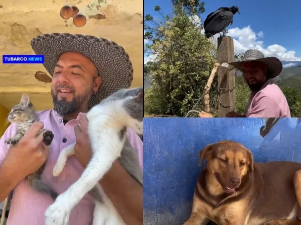 El Hospital para los animales silvestres: "La Casita del Bosque” 