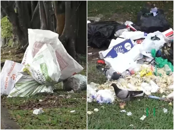 Operativos de las autoridades en Cali para prevenir el mal manejo de los residuos sólidos