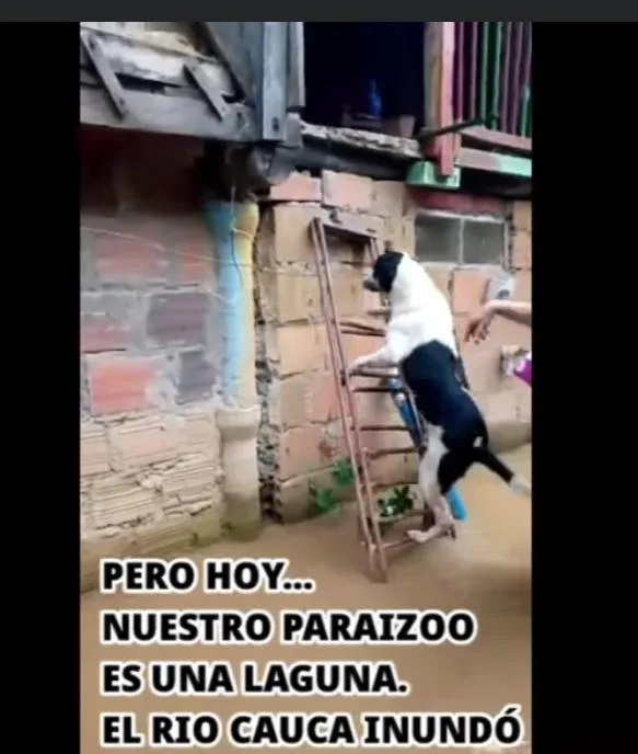 albergues inundados emergencias Valle