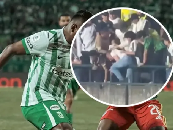 Hincha golpeado en el Atlético Nacional vs. Junior