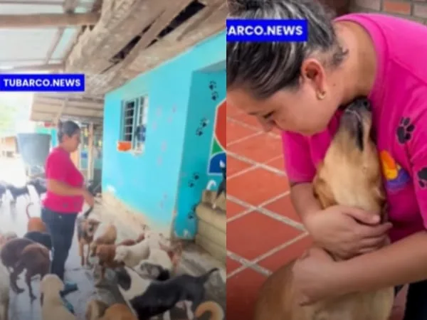 Claudia y la Fundación Coquena, más de 15 años salvando perros y gatos en Roldanillo