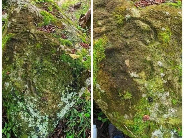 Hallazgo arqueológico en Pacarní