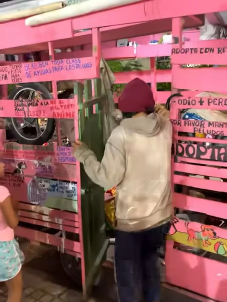 Alex y Rosita salieron desde Pasto con su 'Refugio sobre Ruedas' y van por toda Colombia salvando 'Peluditos'