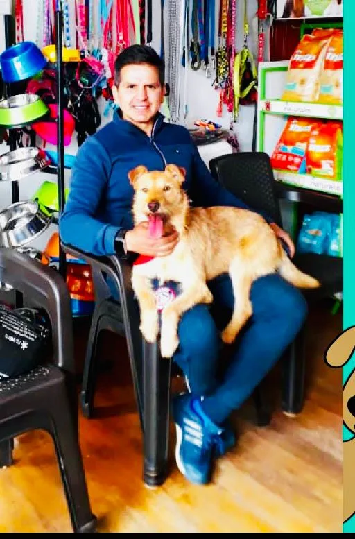 Fit perro pastuso más lindo de Colombia