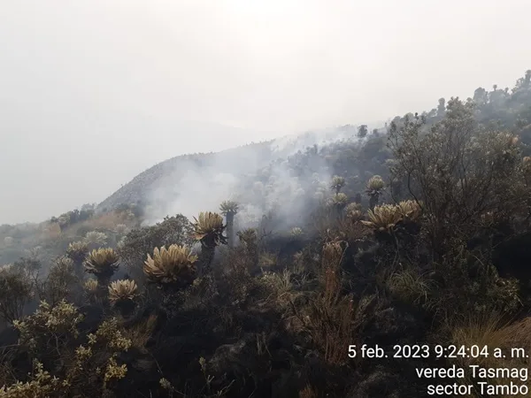 Cumbal otra vez en emergencia: Incendio destruyó más de 30 hectáreas de flora y fauna