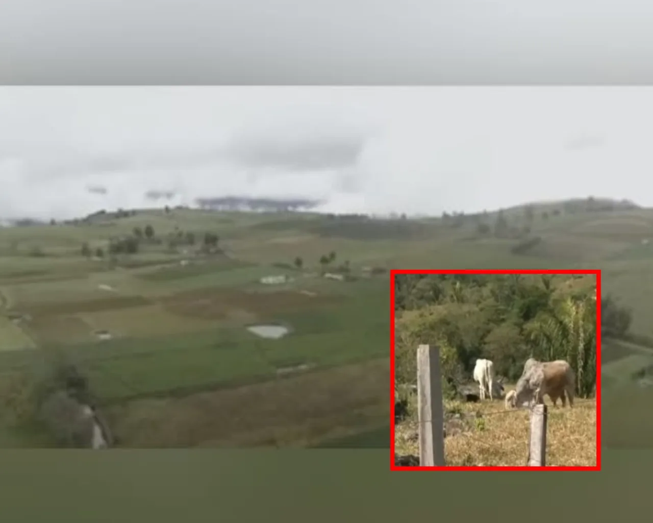 tierras ganaderos gobierno Petro