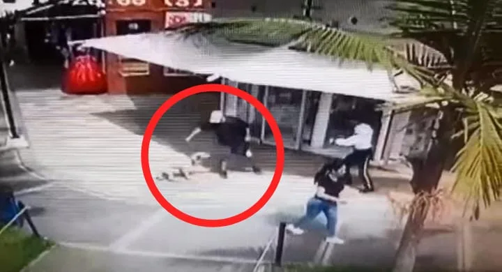 En medio de una pelea, sujeto le causo heridas de gravedad con un machete a un perro en Popayán