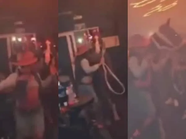 Rechazo en redes por fiesta en San Andrés donde un caballo fue ingresado a una discoteca