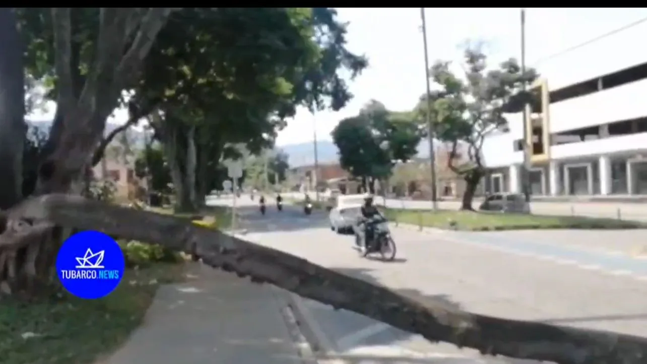 motociclistas