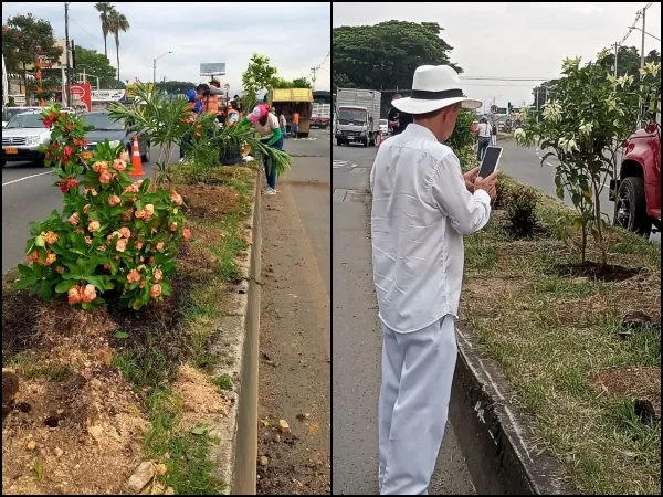 Ahora un jardín adorna el separador de la vía Cali - Jamundí, más 300 voluntarios ayudaron a sembrarlo