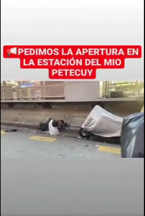 MIO Petecuy