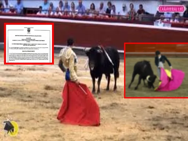 MinTrabajo ordenó suspensión de la temporada taurina; pero en Cali respondieron "la feria sigue en firme y se hará"