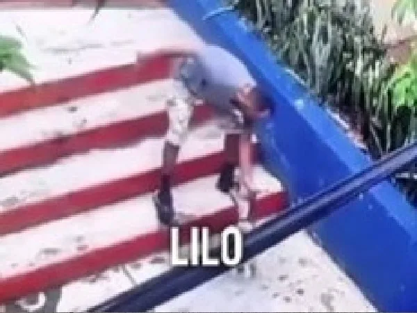 Lilo, perra abandonada por taxista en Bucaramanga.