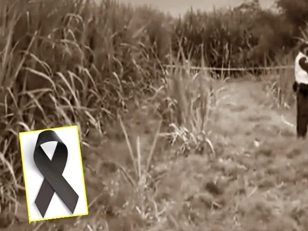 Cuerpo en estado de descomposición fue hallado en Cañaduzal de Cali, investigan que pasó