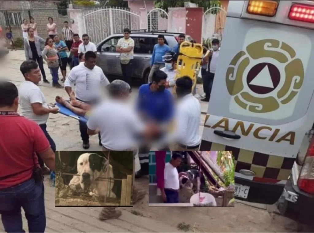 perro Max Copoya México