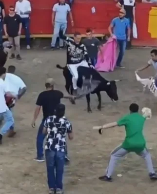 Denuncian maltrato animal en medio de unas corralejas en Fredonia, Antioquia