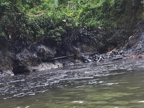 Costa de Nariño en calamidad pública tras crisis por derrame de crudo