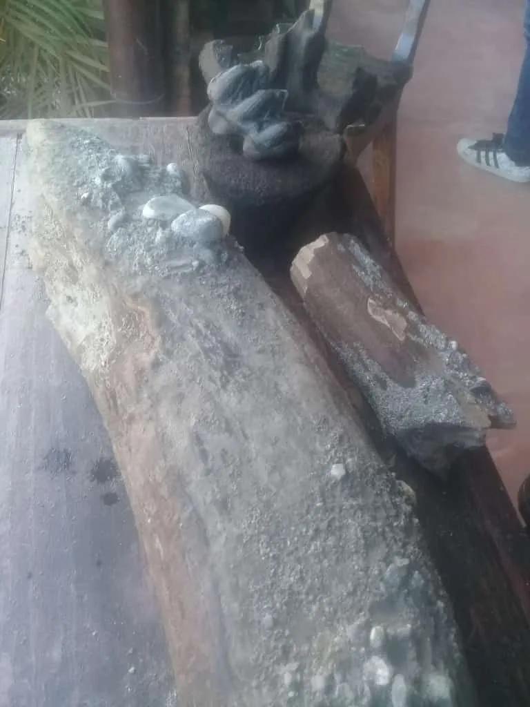 un mastodonte