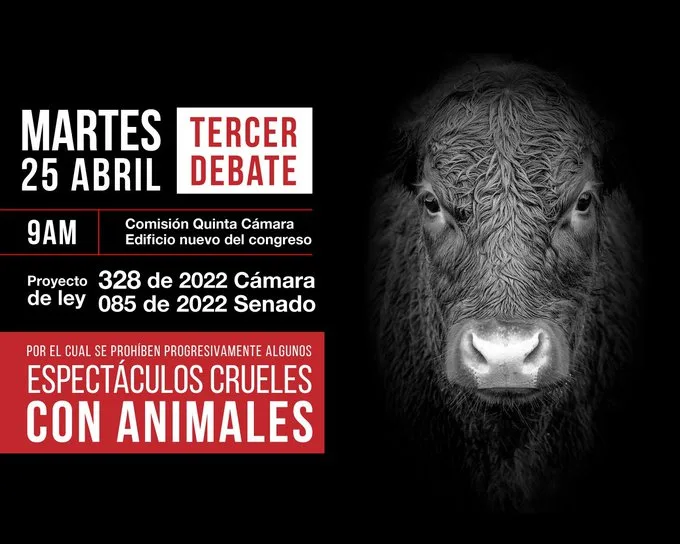 corridas de toros