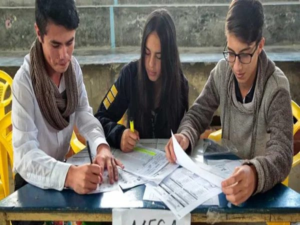 jóvenes de Pasto elecciones consejos municipales