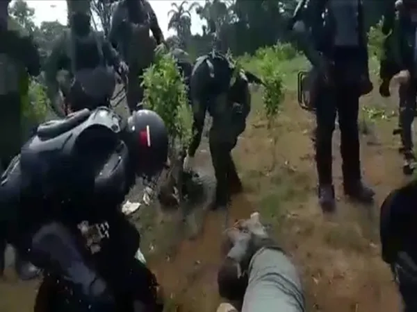 erradicación forzada San Miguel