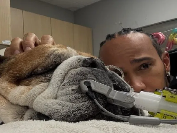 Lewis Hamilton, múltiple campeón de Fórmula Uno, y su perro.