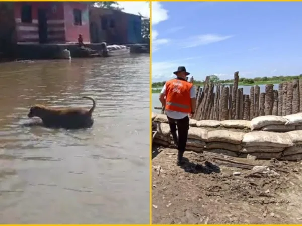 Casi 180 familias resultaron afectadas por inundaciones en Plato, Magdalena