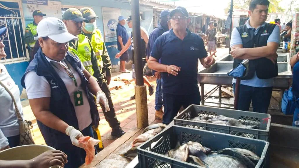 pescados en