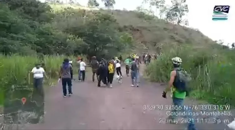 Golondrinas invasiones Cali