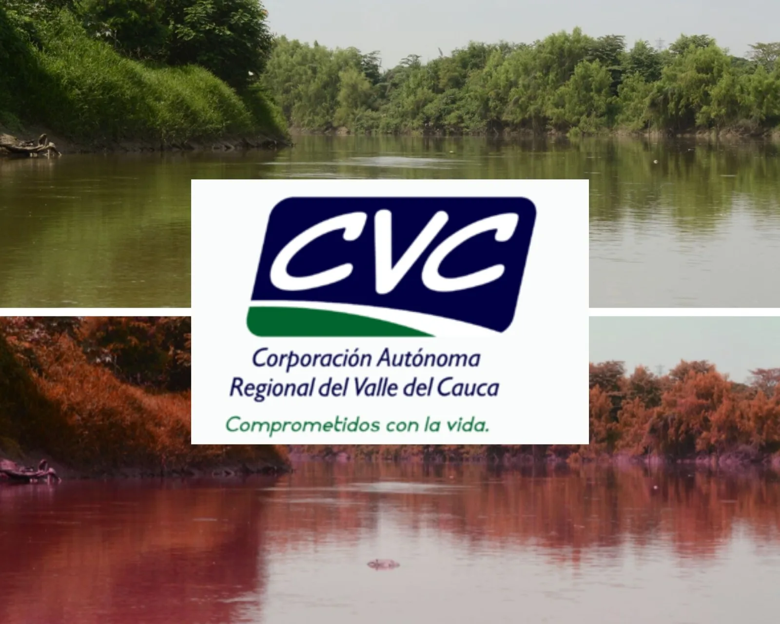 El río cauca tendrá color rojo superficial durante algunas horas, informó la Corporación Autónoma Regional de Ambiente.