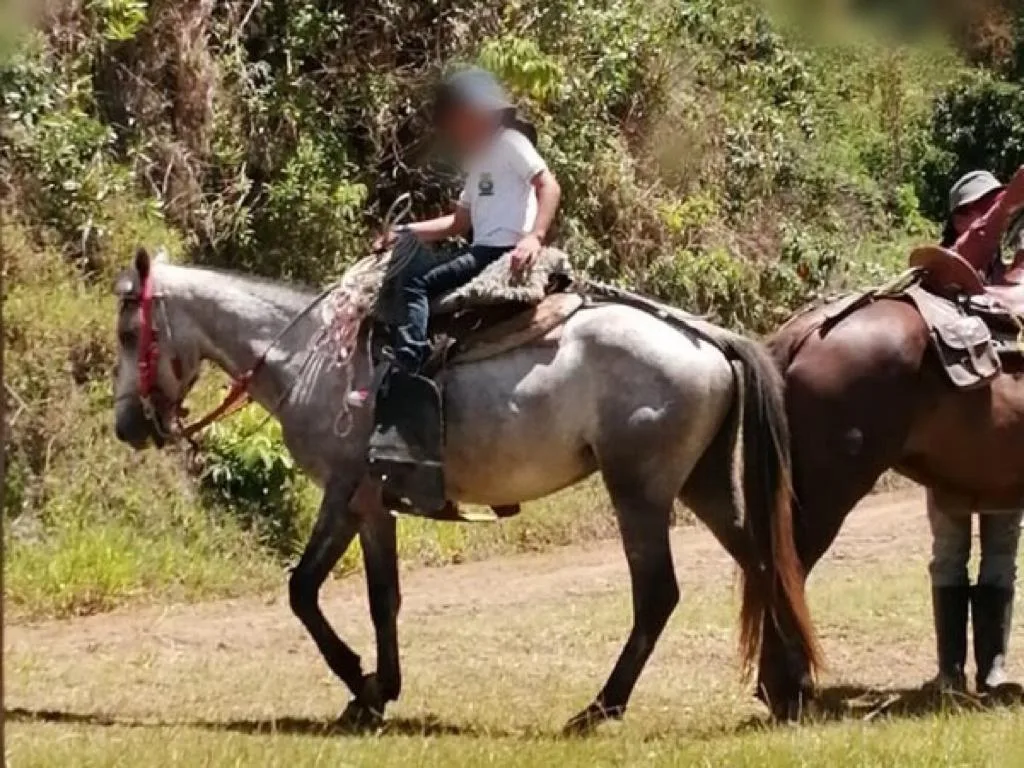 en caballo van a la escuela en Roldanillo
