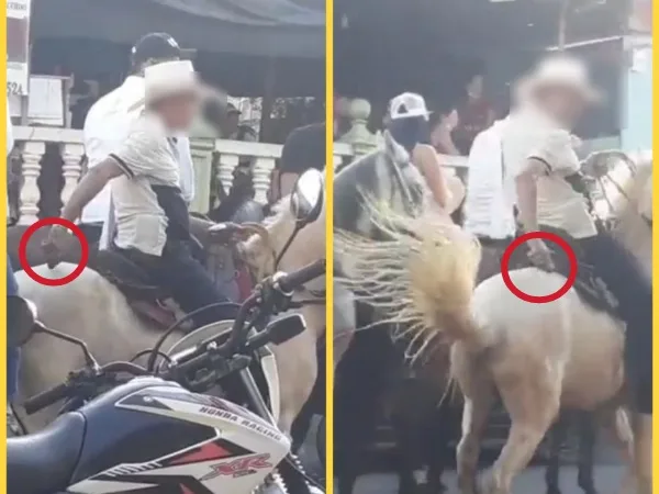 En cabalgata en Icononzo caballista electrocutó a un equino