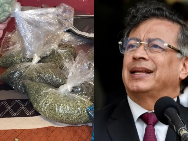 Legalización de la marihuana: el debate que el presidente Petro reaviva en Colombia