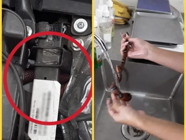 En el norte de Cali hallaron una culebra en una motocicleta