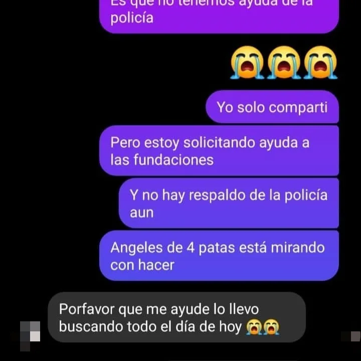un perro