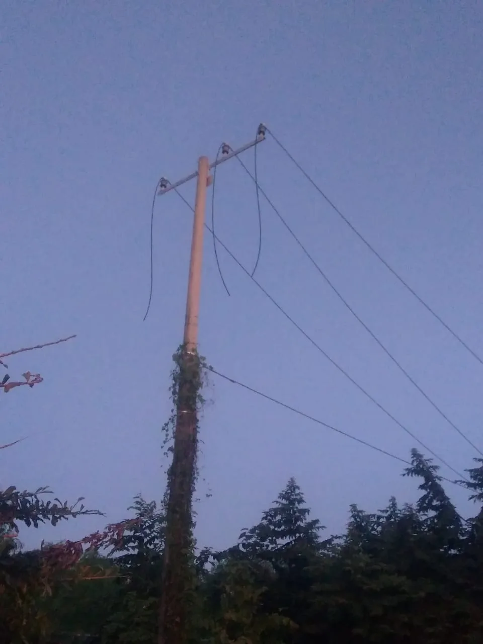 Cables
