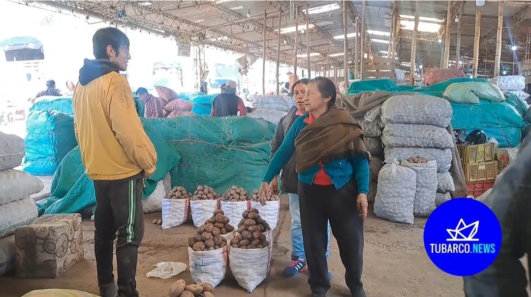 Alivio para el bolsillo: bajó el precio de la papa y cebolla larga en el marcado de Potrerillo en Pasto