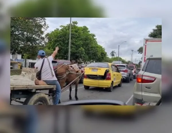 carretas haladas por caballos