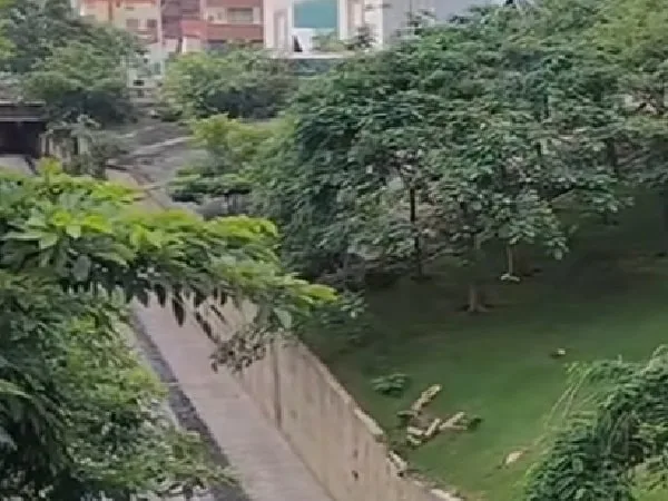 Mujer en condición de calle murió arrastrada por arroyo en Barranquilla