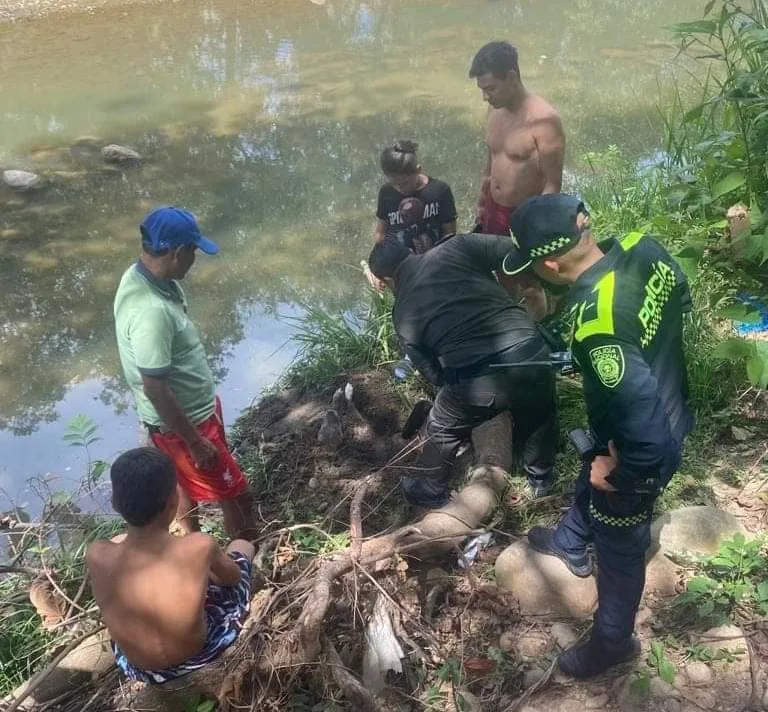 En Neiva, un perro Pitbull fue enterrado vivo, Policía Ambiental logro sacarlo con vida