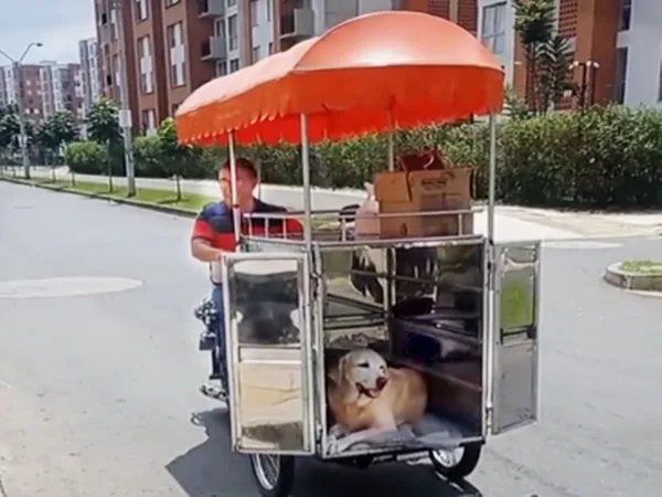 La emotiva venta de perros calientes Cali: vendedor junto a su mascota recorren las calles para ofrecer el producto