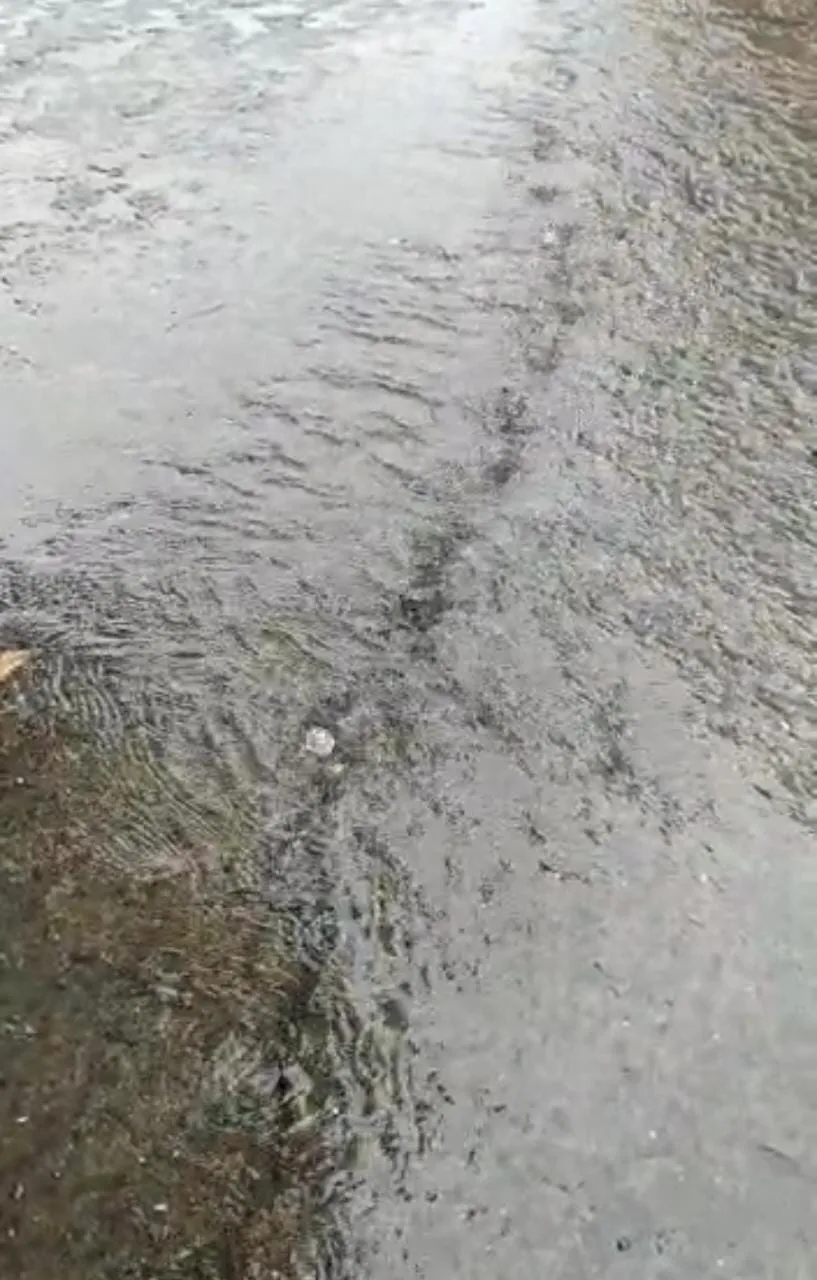 En Alameda vecinos se alertan porque “está saliendo agua debajo del pavimento”