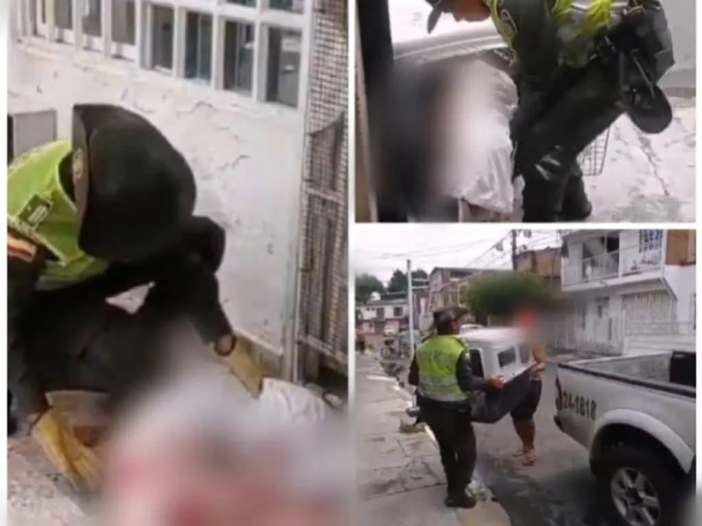 Un adolescente hirió al perro de la casa, en medio de un "conflicto familiar", en Cali