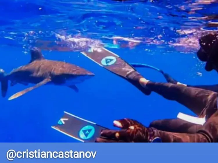 El apneista profesional Cristián Castañeda estaba con su equipo entrenando en San Andrés, pero terminó peleando con un tiburón.