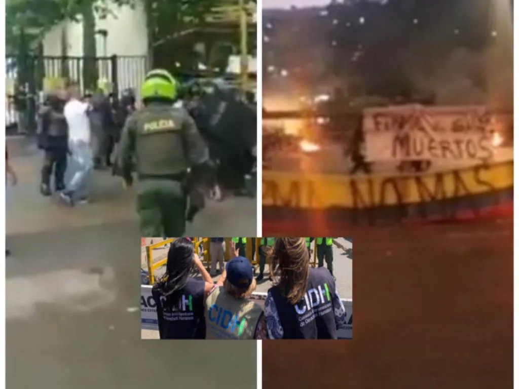 visita de la CIDH