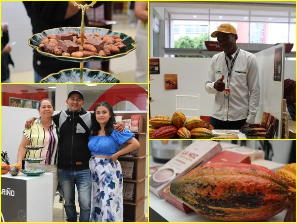 Con apoyo de la Cooperación Española, pastusos se deleitaron con ‘Sabores de la paz’, a través de muestra de cacao