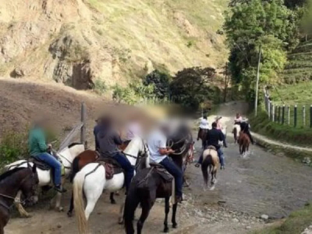 Paseo en caballo guiados, muchos han implementado vigilancia y condiciones para estos planes en Cali y el Valle